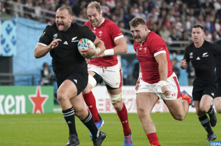 Tournoi des six nations: le Gallois Dillon Lewis forfait