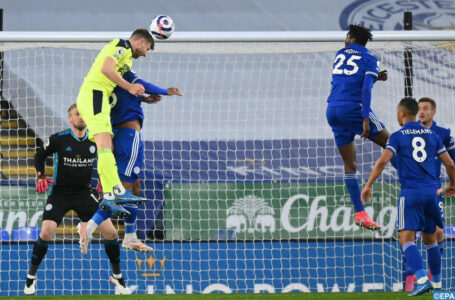 Premier League: Newcastle domine Leicester