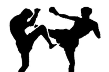Fnideq abrite le 10è festival de Kick-boxing, à l&rsquo;occasion de la Fête du Trône