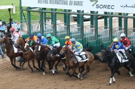 Meeting international du Maroc des courses de chevaux: le cheval Volver remporte le Grand Prix de SM le Roi Mohammed VI du Pur-sang Anglais