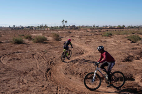 Trail Marrakech Palmeraie-Jbilets, les 3 et 4 décembre prochain