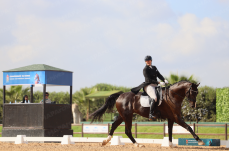 Saut d&rsquo;obstacles: Le cheval Impérial d&rsquo;Euskadi remporte le championnat du Maroc des jeunes chevaux de 7 ans