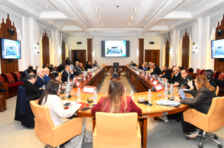 العنصر البشري يشكل حجر الزاوية لأي استراتيجية وطنية طموحة للنهوض بالقطاع الرياضي (فاعلون رياضيون)