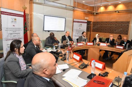ترسيخ الحكامة الجيدة وتحديث آليات التمويل ركيزتان أساسيتان للارتقاء بالمنظومة الرياضية الوطنية (متدخلون)