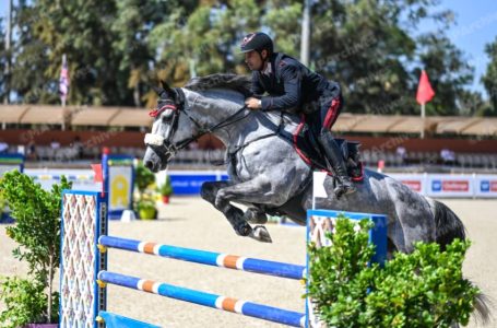 La 19è cérémonie du Trophée Maroc Equestre, le 24 janvier prochain au Théâtre Mohammed V à Rabat