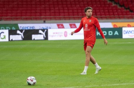 Neil El Aynaoui, poumon du milieu de terrain des Lions de l&rsquo;Atlas
