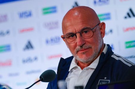 ديلافوينتي، مدرب المنتخب الإسباني: الفوز بكأس العالم هو ثمرة عمل جماعي متواصل