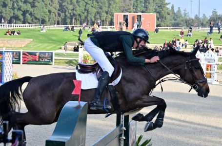 Sports équestres : Le Maroc participe aux Championnats du Monde FEI à Aix-la-Chapelle
