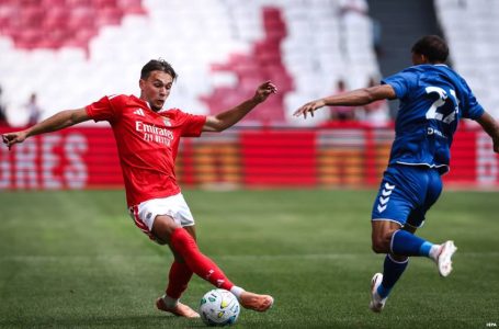 Foot: Newcastle officialise l&rsquo;arrivée d&rsquo;Amar Dedic en provenance de Benfica