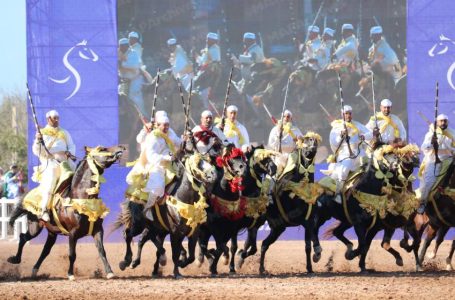 El Jadida : La Sorba du Moqaddem Charaf El Bahraoui en tête du classement du Grand Prix SM le Roi Mohammed VI de Tbourida (1ère J.)