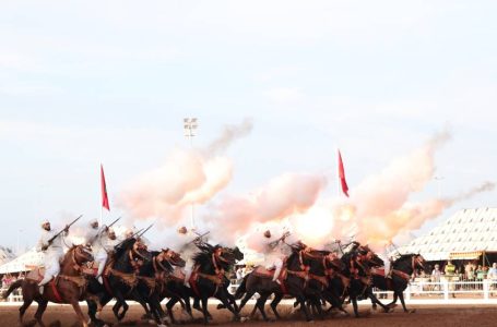 معرض الفرس بالجديدة.. تتويج سربة المقدم شرف البحراوي بالجائزة الكبرى لصاحب الجلالة الملك محمد السادس للتبوريدة